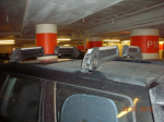 DSCN0841_