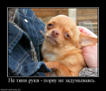 6665_ne-tyani-ruki-porvu-ne-zadumyivayas.jpg