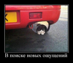 kjwa5xoh6ci3hncx.jpg