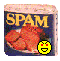 spam1 :spam1: